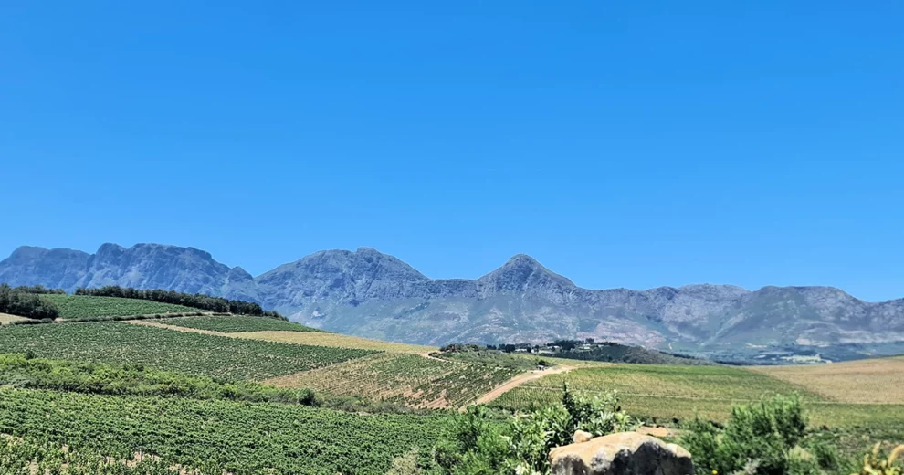 Chorus - Der Ausblick