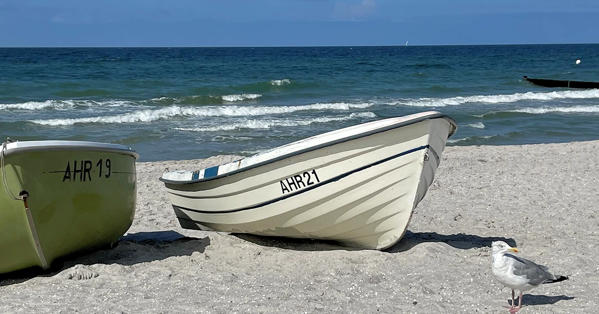 Darß – Strand Darß - Strand