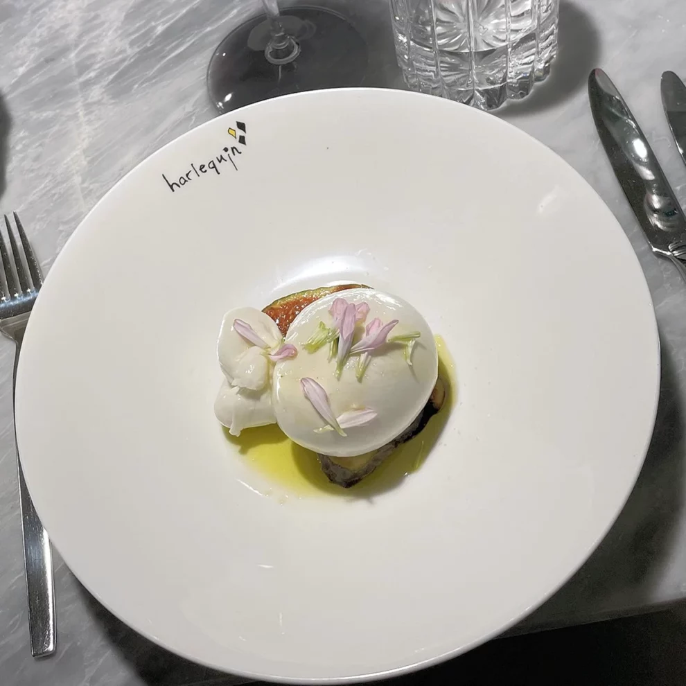 Harlequin - Burrata