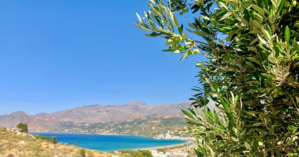 Kreta - Bucht von Damnoni