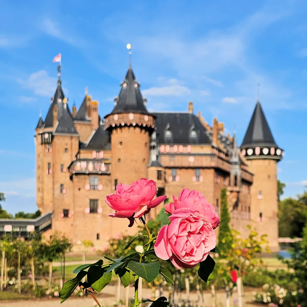 Schloss de Haar - Rosengarten