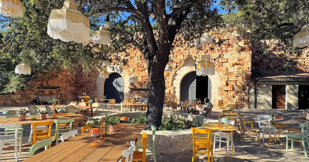 Bodega Terra Iòn - Hof