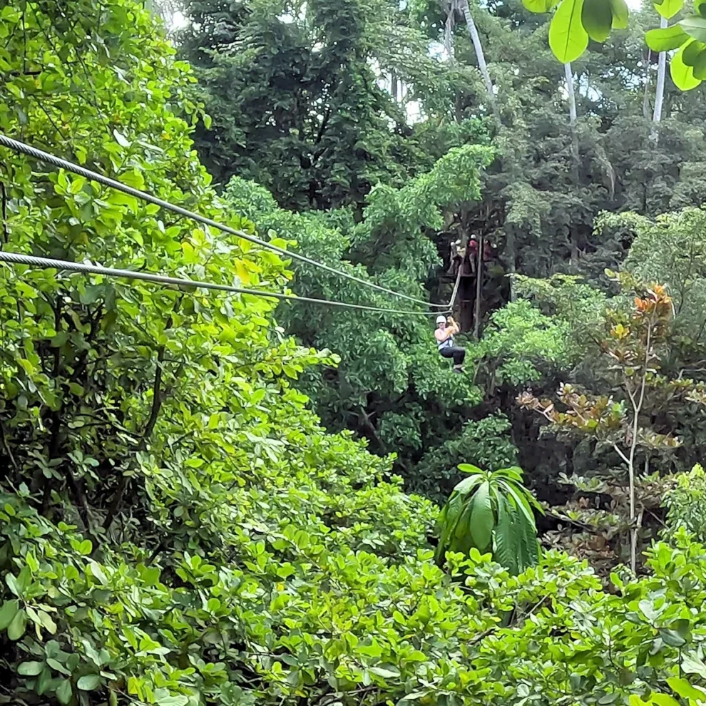 Jamaica - Zipline