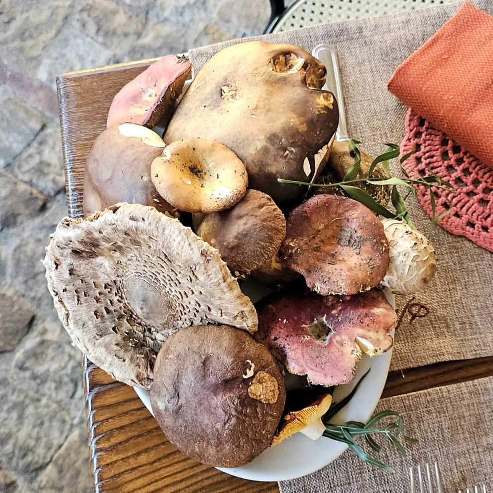 Nangalarruni - frische Pilze