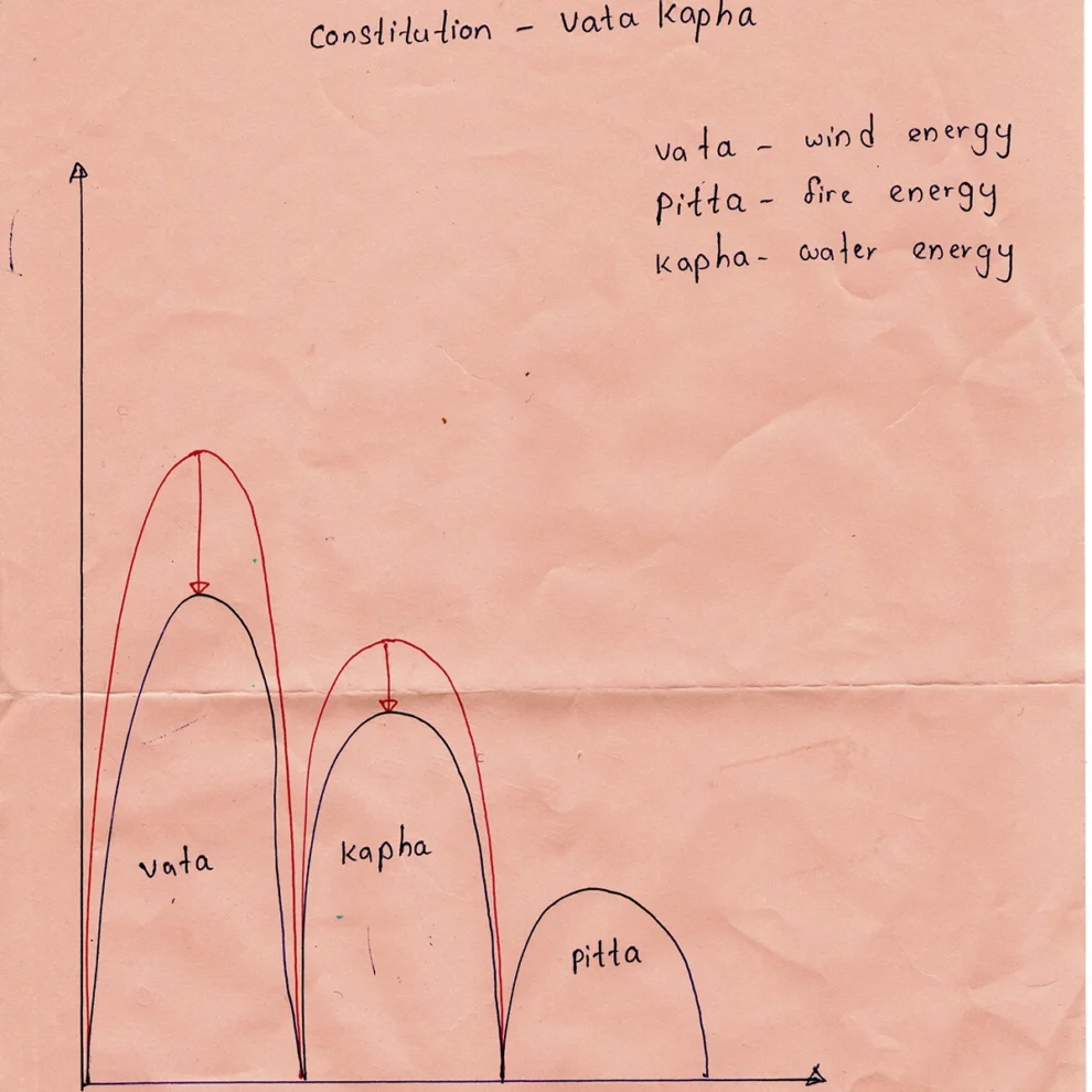 Ayurveda - Ernährungsrichtlinien