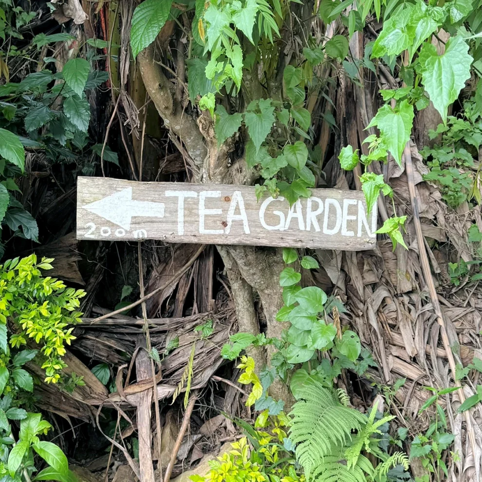 Ella Organic Tea Garden