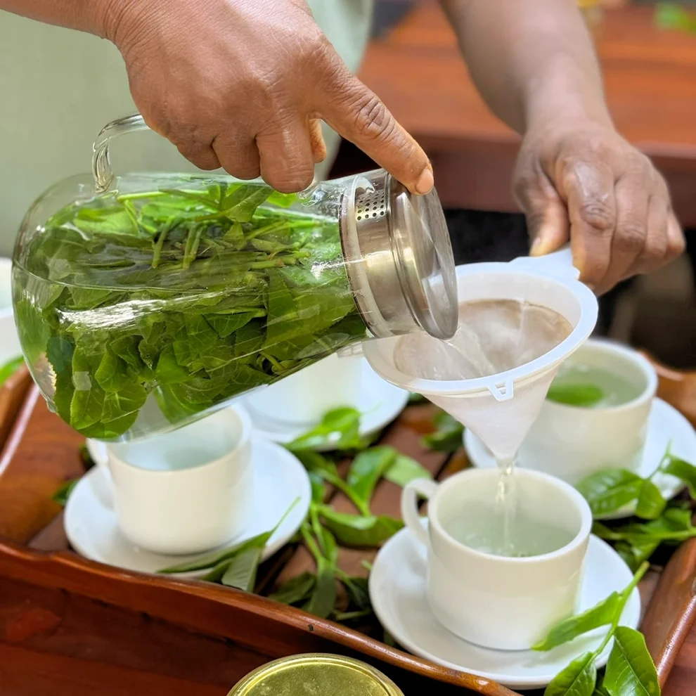 Ella Organic Tea Garden - Teehverkostung