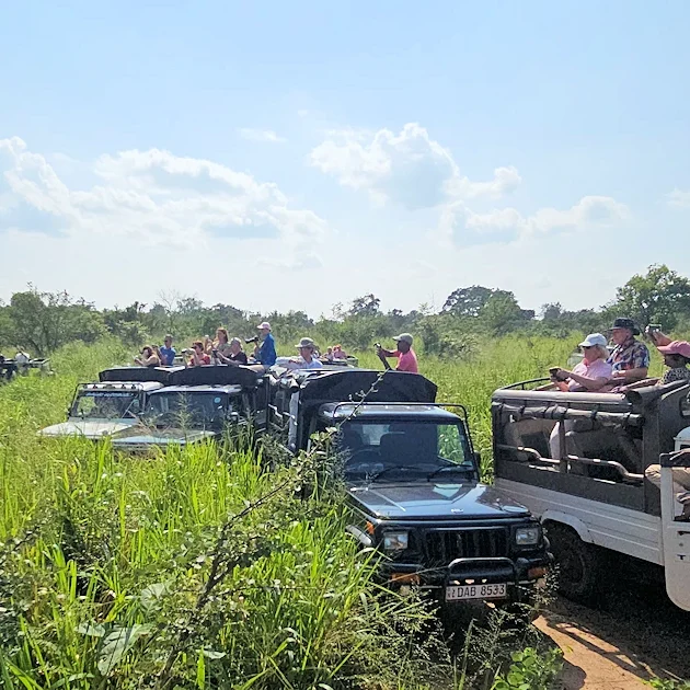 Hurulu Eco Park - Fotojäger