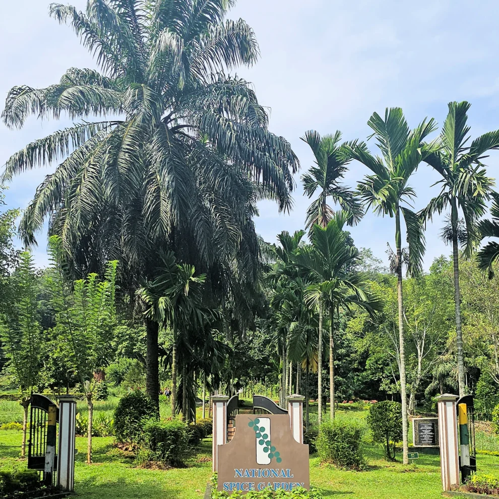 Sri Lanka - National Spice Garden bei Matale